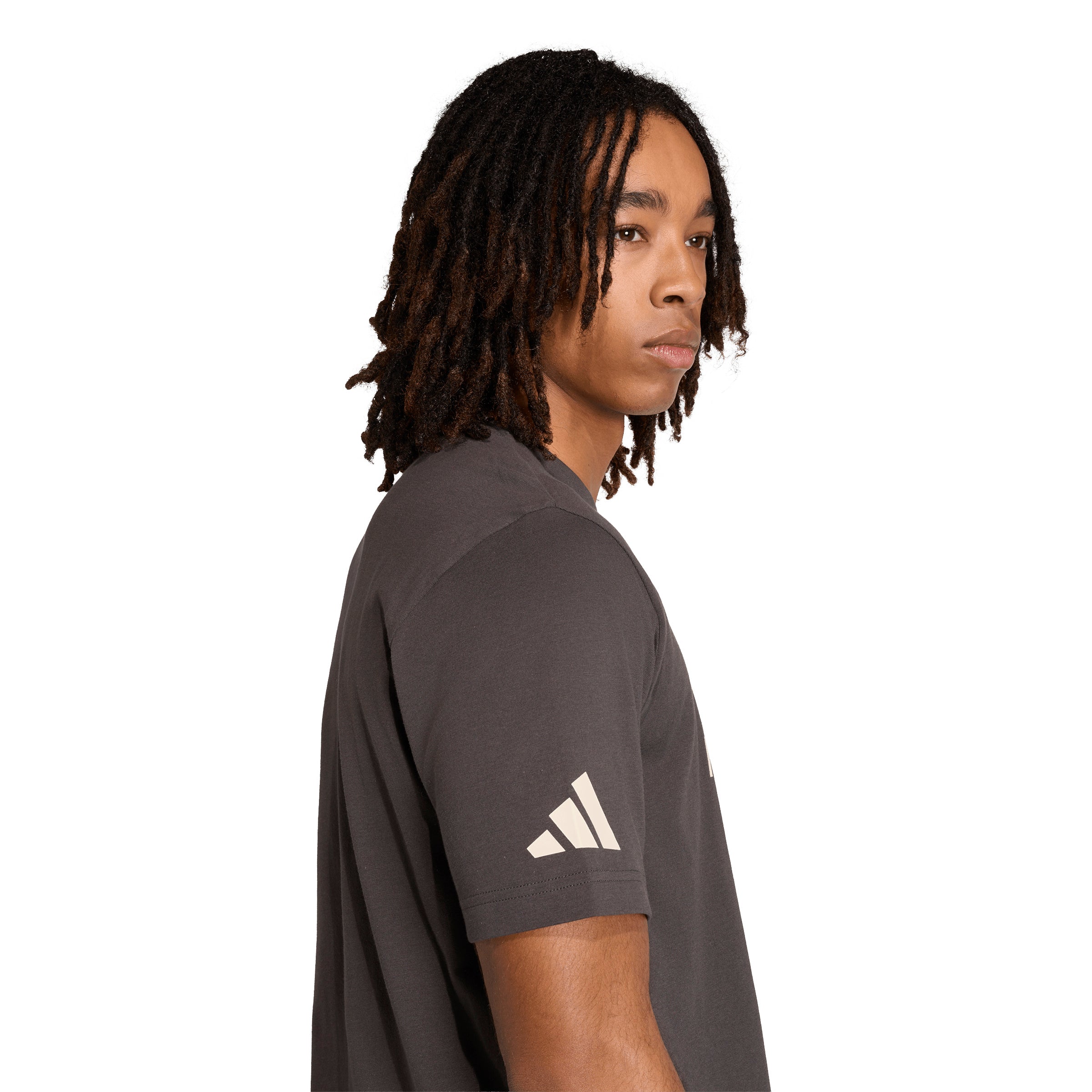 adidas Men's Audi Revolut F1 Team DNA Graphic Tee