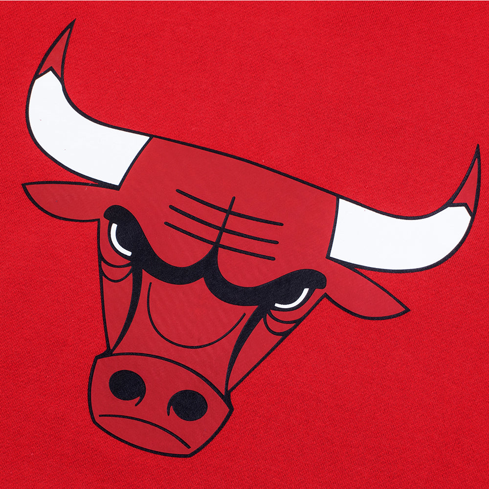 FexPro Men's NBA Basic Primary Logo Hoodie Bulls